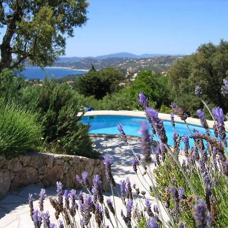 Villa Montmajour